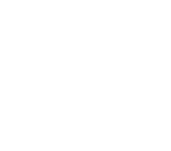 logo copy
